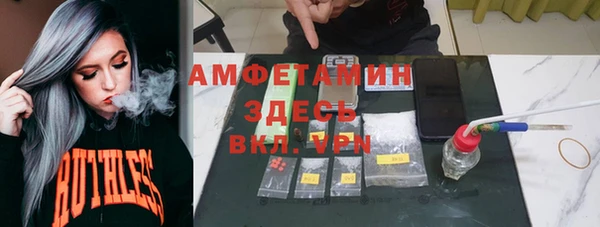 прущие грибы Кукмор
