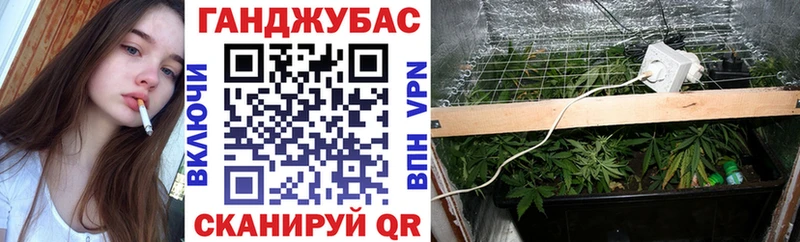 Конопля семена Калининград